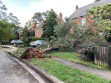 Tormentas dejan a unas 200,000 personas sin electricidad en la capital de Estados Unidos