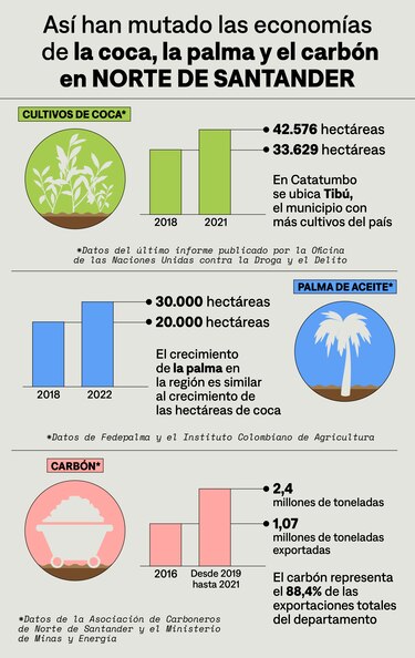 Los rostros del hambre tras la crisis de la coca en Colombia