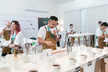 Los reyes del café geisha: estos fueron los ganadores del Best of Panamá 2026