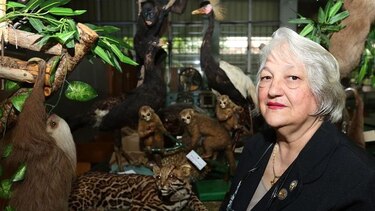‘El trabajo ayuda a sobrevivir’: Josefina de Correa, una vida dedicada a la docencia