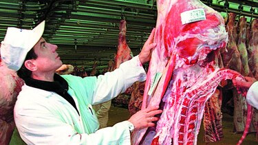 México busca nuevos mercados