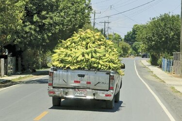 Ejecutivo está próximo a cerrar acuerdo con Del Monte