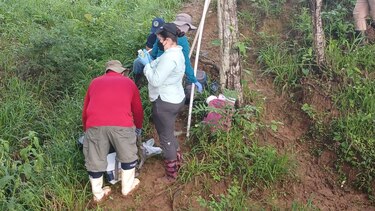 Posible contaminación de ríos por empresas porcinas está en investigación 