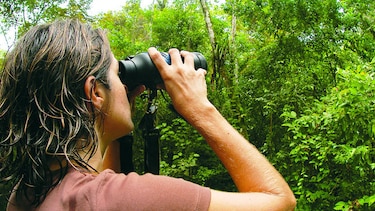 Global Big Day, una cita con aves