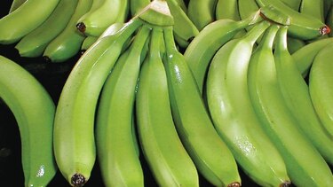 Altas y bajas en las exportaciones panameñas