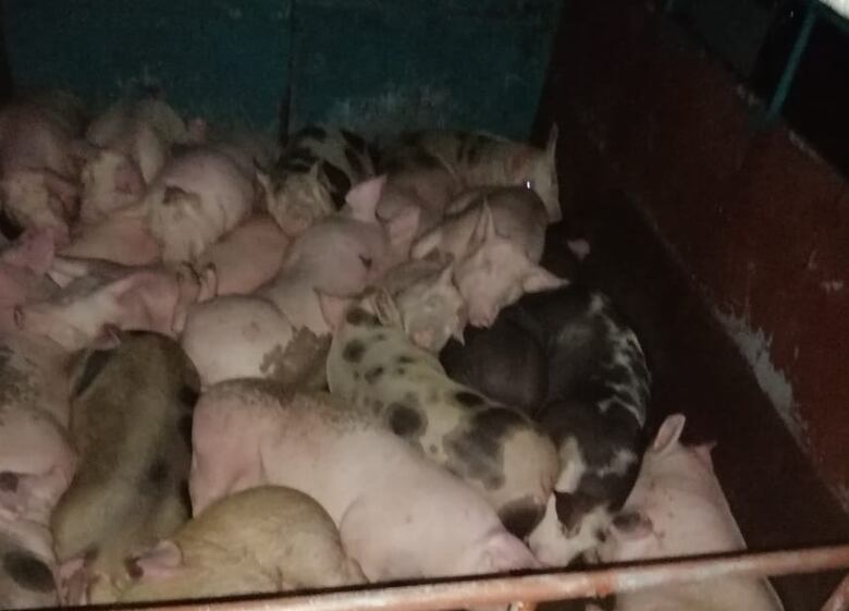 Conductores de la caravana humanitaria expresan descontento al seguir bloqueo en la Interamericana