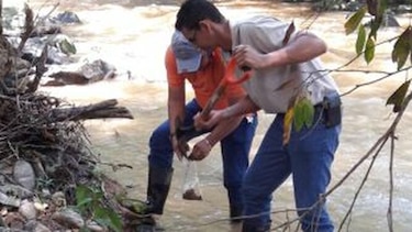 Detectan altos niveles de metales en suelo, agua y cultivos de la cuenca de río La Villa