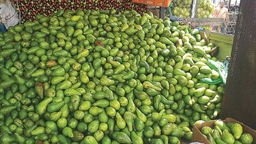 El aguacate se apodera del Mercado de Abastos