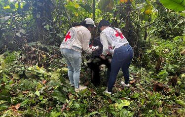 Una disidencia de las FARC deja en libertad a una persona que secuestró en Colombia