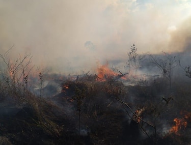 Incendio cerca del Parque Nacional Volcán Barú arrasa 10 hectáreas de herbazales