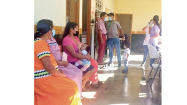 Casos de leishmaniasis ganan terreno en Panamá 