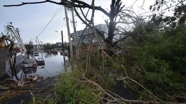 Puerto Rico quedó 'arrasado' por el huracán María: Trump