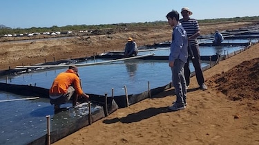 Salineros santeños incrementan cuota para asegurar mercado nacional