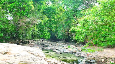 Escasez de agua afecta a 3 provincias