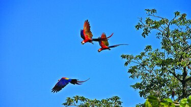 Actualizarán planes de manejo de reservas