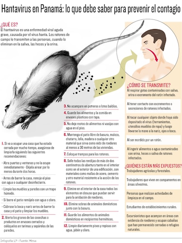 Minsa descarta riesgo en Panamá por virus Andes de hantavirus detectado en crucero