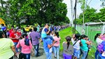 En busca de la vacuna