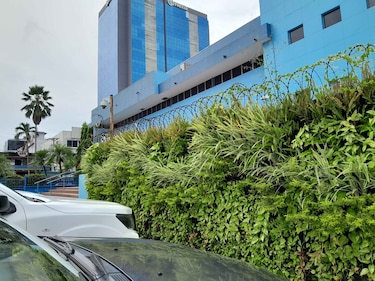 El Idaan gestionó contrato por casi $100,000 para jardinería con empresa vinculada a Abraham Rico Pineda