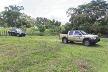 Mafias, el brazo ejecutor de clonadores de títulos