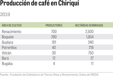 Mano de obra, un reto para producir y cosechar café