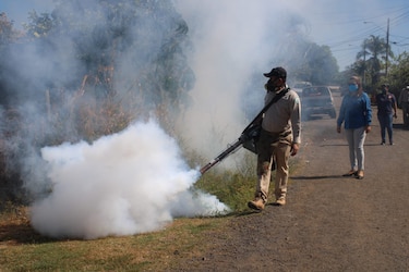 El Ministerio de Salud reporta 773 casos de dengue a nivel nacional
