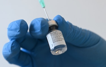 Pfizer y BioNTech confirman muy alta eficacia de la vacuna contra variante sudafricana de Covid-19