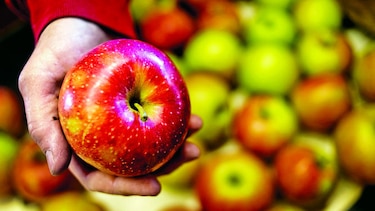 Manzanas que no se oxidan