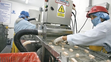 Negocian la venta de 200 toneladas de carne de res