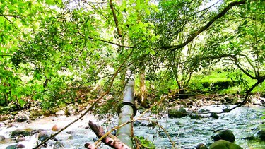 Seis plantas potabilizadoras de Chiriquí están en crisis