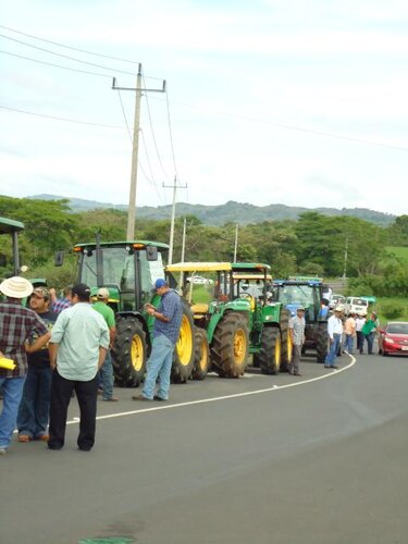 Maiceros y arroceros anuncian fecha de cierre en Divisa