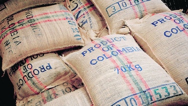 Colombia debe renovar cafetales