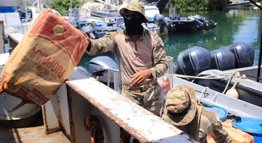 Panamá decomisó en 2022 al menos 128 toneladas de drogas