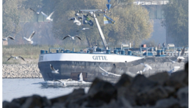 Sequía afecta suministro de combustible en Alemania