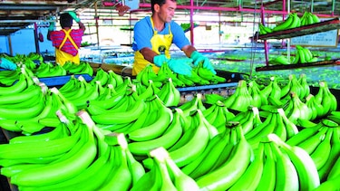 América Latina pierde competitividad
