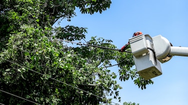 Trabajos de mantenimiento en la red eléctrica del 16 al 22 junio 2025