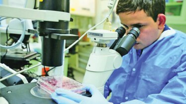 Panamá, entre los  países que pueden  estabilizar la transmisión del virus  