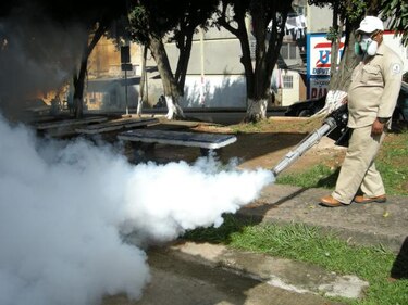 Centroamérica enfrenta bomba de tiempo por doble amenaza de dengue y coronavirus