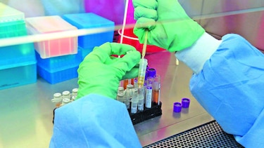 Rickettsiosis causa otras dos muertes en el país