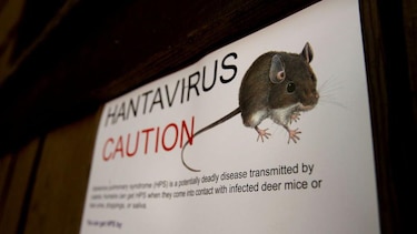El hantavirus, un virus muy conocido para la ciencia y que nada tiene que ver con el covid