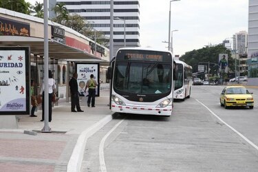 Servicio de Metro Bus sería gratis el día de las elecciones