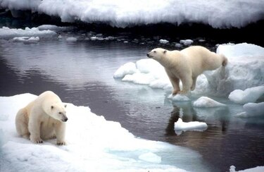 El océano Glacial Ártico marca un nuevo récord de descongelación
