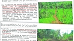 Carretera para fincas aceiteras