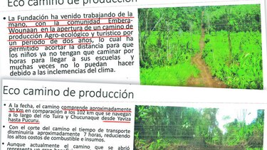 Carretera para fincas aceiteras