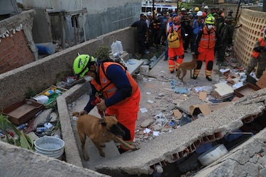 Rescatistas panameños operan con cámaras térmicas y perros K-9 en La Guaira