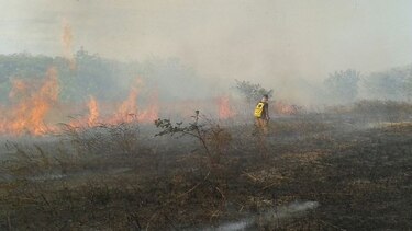 Bomberos:  aumentan los casos de incendios forestales en Los Santos