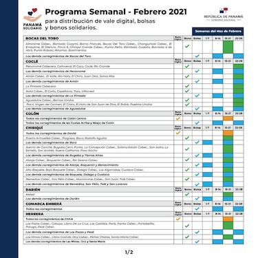 A partir del lunes 8 de febrero se desembolsará la partida del vale digital; el beneficio es de $120