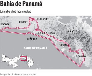 Bahía de Panamá: 200 hectáreas de manglar, en peligro por la expansión de proyectos estatales