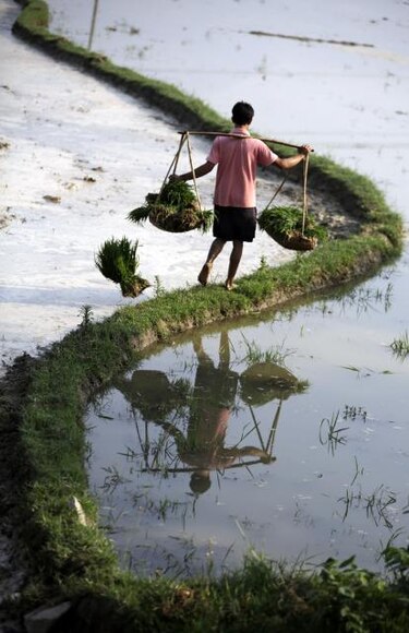 Agua de lago contaminada vuelve a ser potable en suroeste de China