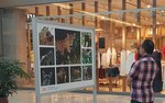 Exhibición 'Tierra de jaguares' busca promover la conservación de esta especie