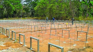 Plan para reforestar la cuenca del río La Villa